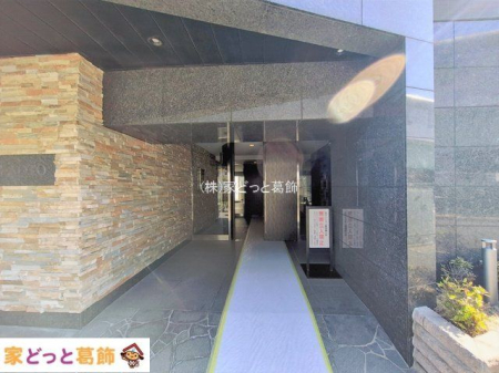 �G���g�����X �B�e��(2026-02-19)