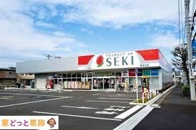 ���ӊ� �h���b�O�X�g�A�Z�L�����J�X �k��11���B 870m