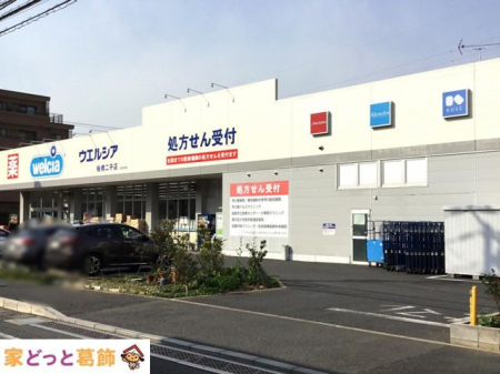 ���ӊ� �E�G���V�A�D����q�X �k��1���B 40m