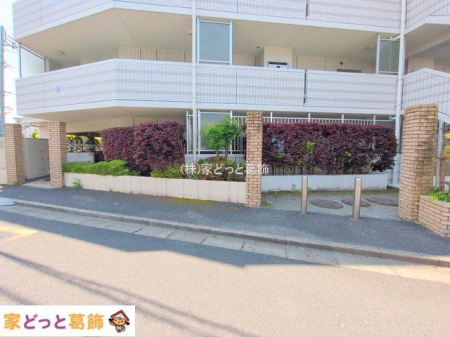 ���n�O�ώʐ^ �B�e��(2025-05-13 00:00:00)