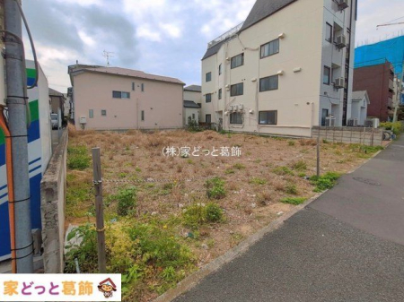 ���n�y�n�ʐ^ �B�e��(2026-04-13)