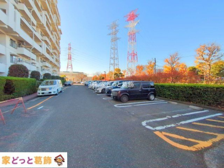 ���n�O�ώʐ^ �B�e��(2024-12-16 00:00:00)