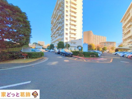 ���n�O�ώʐ^ �B�e��(2024-12-16 00:00:00)