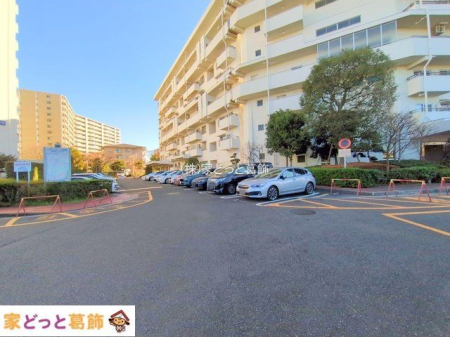 ���n�O�ώʐ^ �B�e��(2024-12-16 00:00:00)
