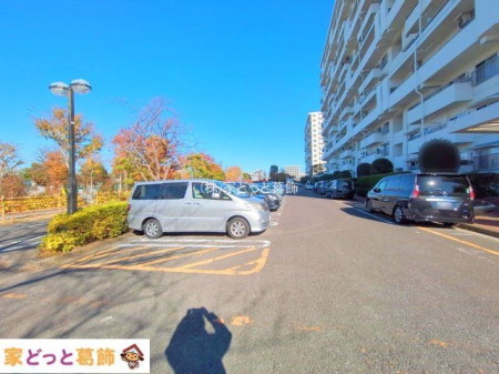 ���n�O�ώʐ^ �B�e��(2024-12-16 00:00:00)