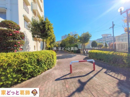 ���n�O�ώʐ^ �B�e��(2024-12-16 00:00:00)