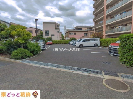 ���n�O�ώʐ^ �B�e��(2026-06-04 00:00:00)