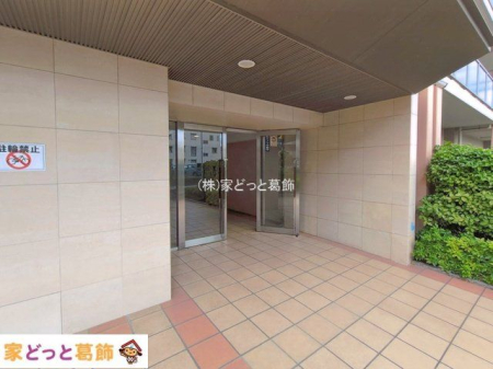 �G���g�����X �B�e��(2026-06-04)