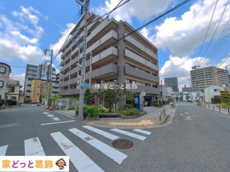 ���n�O�ώʐ^ �B�e��(2026-06-12 00:00:00)