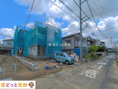 ���n�O�ώʐ^ �B�e��(2026-06-12)