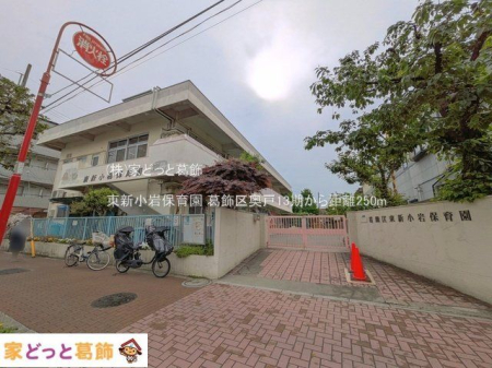 ���ӊ� ���V����ۈ牀 �B�e��(2025-05-02) 250m