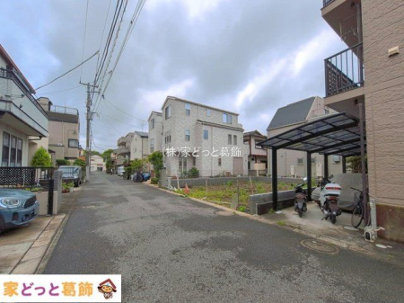 ���n�O�ώʐ^ �B�e��(2026-06-08)