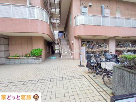 ���n�O�ώʐ^ �B�e��(2025-04-03 00:00:00)