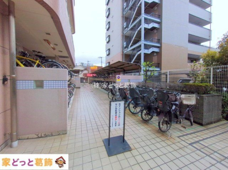 ���n�O�ώʐ^ �B�e��(2025-04-03 00:00:00)