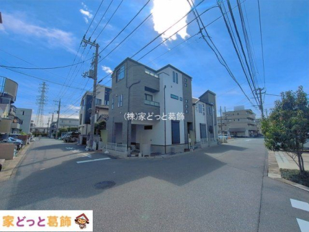 ���n�O�ώʐ^ �B�e��(2026-06-22)