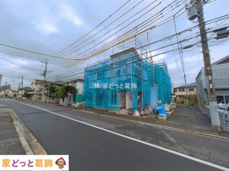���n�O�ώʐ^ �B�e��(2026-06-15 00:00:00)