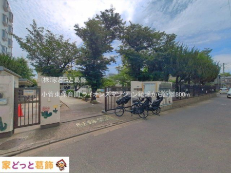 ���ӊ� �������ۈ牀 �B�e��(2026-06-11) 800m