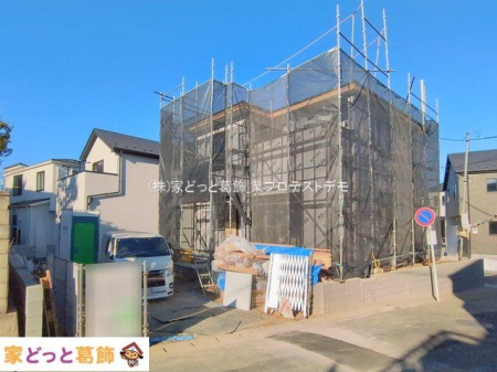 ���n�O�ώʐ^ �B�e��(2026-01-29 00:00:00)