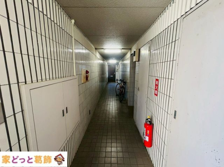���̑� ���L����