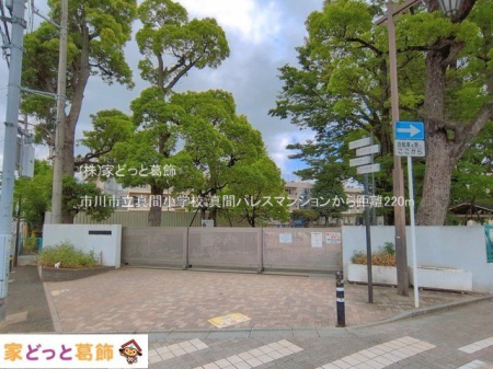 ���ӊ� �s��s���^�ԏ��w�Z �B�e��(2026-05-27) 220m
