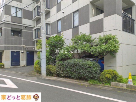 ���n�O�ώʐ^ �B�e��(2026-07-13 00:00:00)
