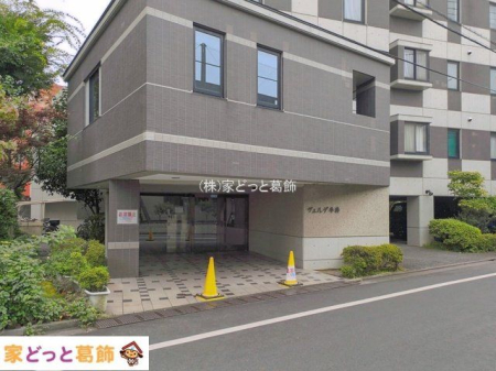 �G���g�����X �B�e��(2026-07-13)