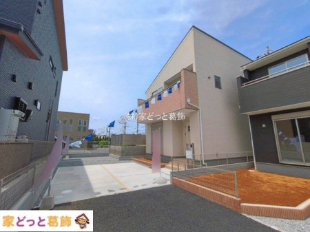 ���n�O�ώʐ^ �B�e��(2026-06-16 00:00:00)