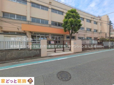 ���ӊ� �����旧�������w�Z �B�e��(2026-06-11) 600m