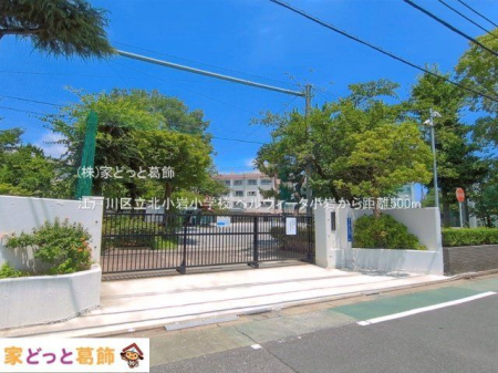 ���ӊ� �]�ː�旧�k���⏬�w�Z �B�e��(2026-07-09) 500m