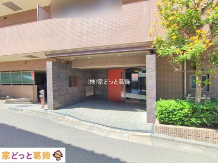 �G���g�����X �B�e��(2025-04-09)