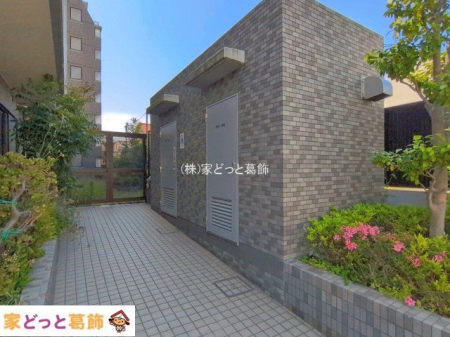���n�O�ώʐ^ �B�e��(2026-05-19 00:00:00)