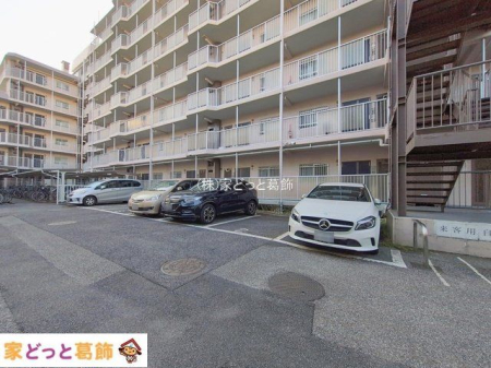 ���n�O�ώʐ^ �B�e��(2026-01-13 00:00:00)