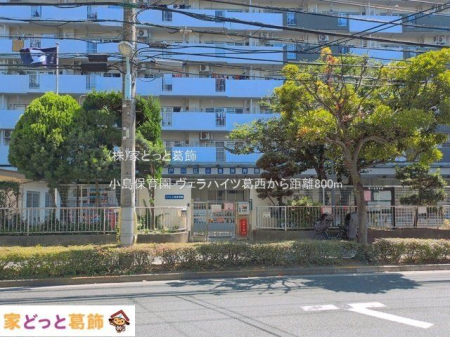 ���ӊ� �����ۈ牀 �B�e��(2026-07-10) 800m