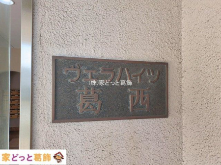 ���n�O�ώʐ^ �B�e��(2026-01-13 00:00:00)