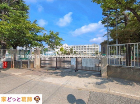 ���ӊ� �]�ː�旧���l���w�Z �B�e��(2026-07-15) 500m