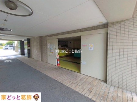 ���n�O�ώʐ^ �B�e��(2026-08-06 00:00:00)