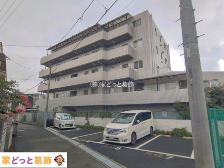 ���n�O�ώʐ^ �B�e��(2026-08-13)