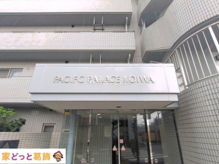 ���n�O�ώʐ^ �B�e��(2026-08-13 00:00:00)