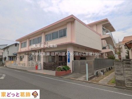 ���ӊ� �吙�ۈ牀 �B�e��(2025-04-10) 230m