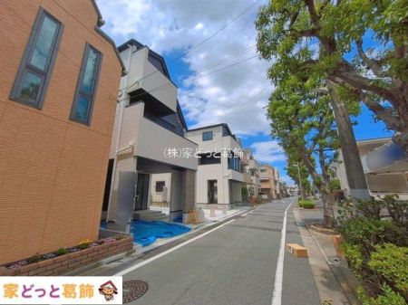 ���n�O�ώʐ^ �B�e��(2026-05-29 00:00:00)