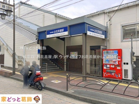 ���ӊ� �����d�S�u���Ԓ����v�w �B�e��(2025-10-01) 880m