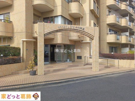 �G���g�����X �B�e��(2026-01-19)