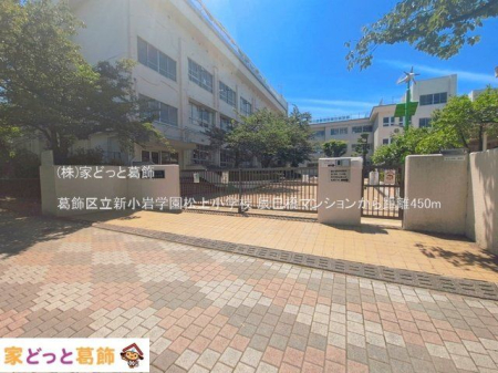���ӊ� �����旧�V����w�����㏬�w�Z �B�e��(2026-06-17) 450m