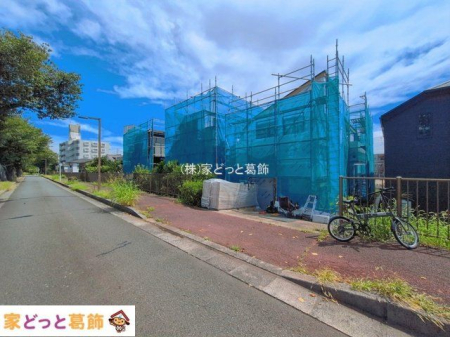 ���n�O�ώʐ^ �B�e��(2026-08-28)
