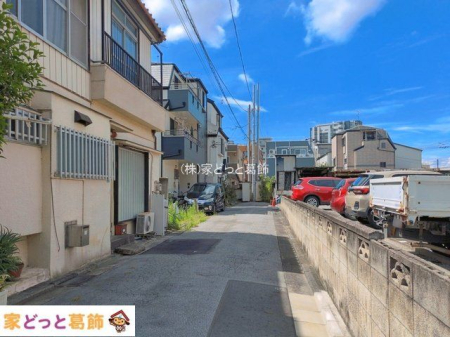 ���n�O�ώʐ^ �B�e��(2026-08-18)