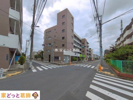 ���n�O�ώʐ^ �B�e��(2026-06-05 00:00:00)