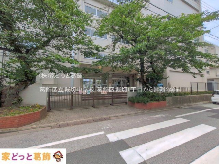 ���ӊ� �����旧�x�ؒ��w�Z �B�e��(2026-06-11) 240m