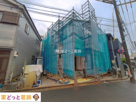 ���n�O�ώʐ^ �B�e��(2026-09-16)