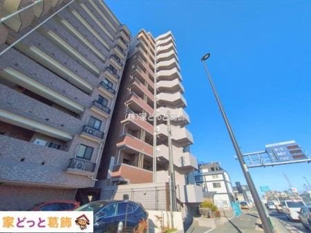 ���n�O�ώʐ^ �B�e��(2026-02-03)