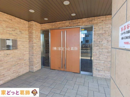 �G���g�����X �B�e��(2026-02-03)